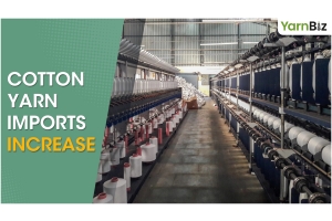 Cotton Yarn Imports Increase